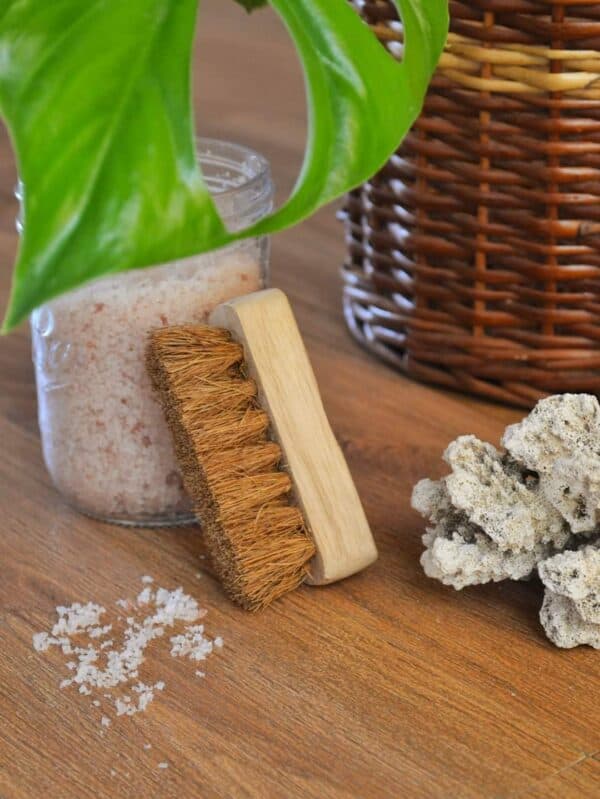 Coconut Coir Pedicure Brush -(Self Care)